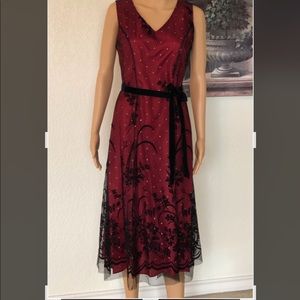 Coldwater Creek- Mesh Overlay Dress, P6